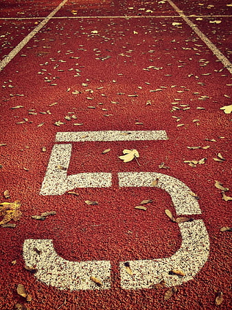 Number 5 on Red Running Track with Autumn Leaves