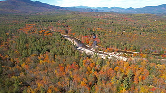 Aerial View of Winding River Through Autumn Forest