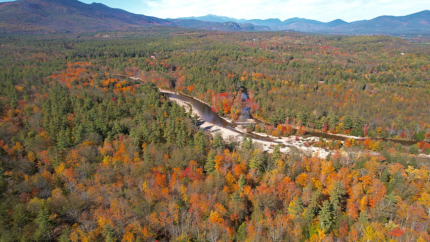 Aerial View of Winding River Through Autumn Forest