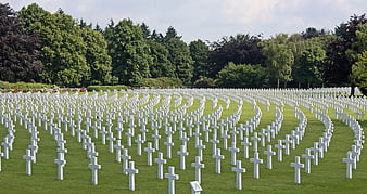 Rows of white crosses in a military cemetery