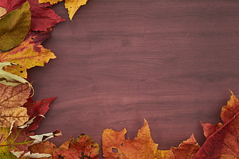 Autumn Leaves Border on Dark Wood Background