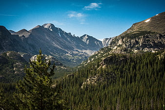 Majestic Mountain Valley with Pine Forest and Blue Sky