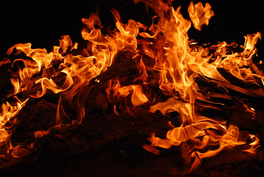 Close-up of burning wood logs in a roaring campfire