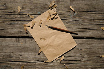 Vintage brown paper and pen on rustic wooden surface with maple seeds
