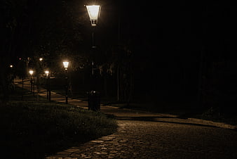 Cobblestone path illuminated by street lamps at night