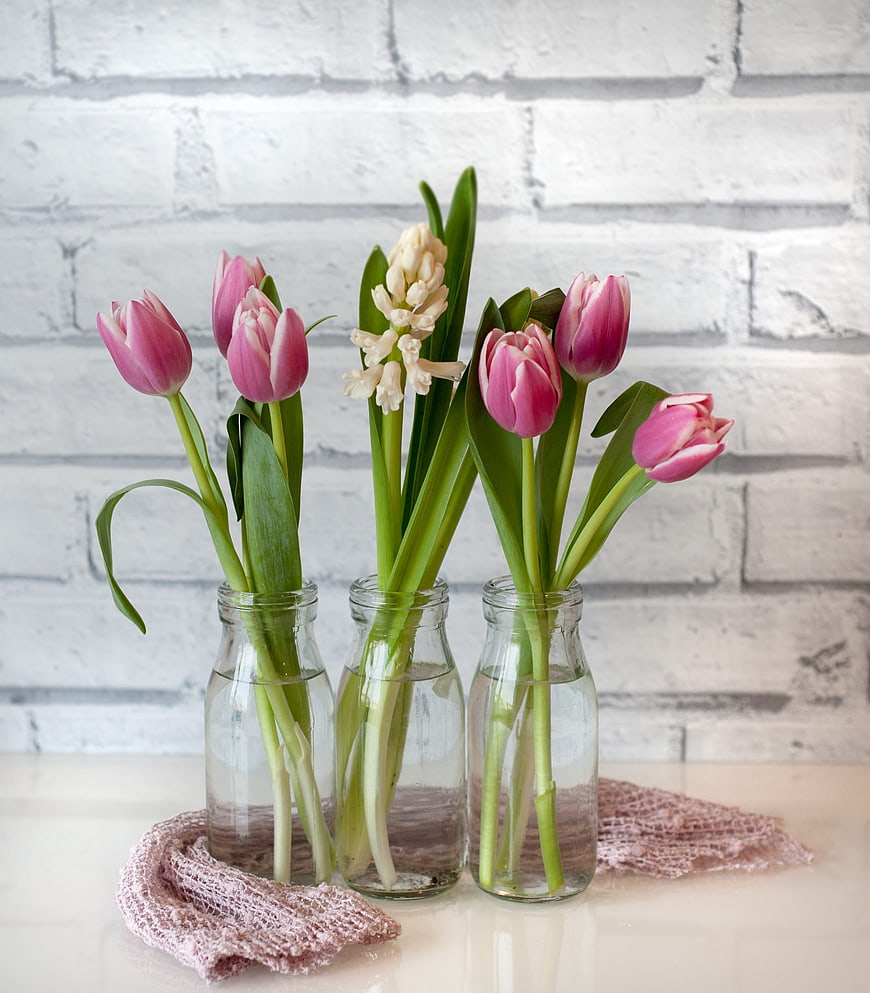 Pink Tulips and Hyacinth in Glass Bottles on White Brick Wall