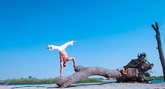 Man performing handstand on driftwood log by blue lake