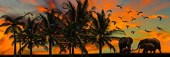 Tropical Sunset Panorama With Silhouetted Elephants And Flying Parrots