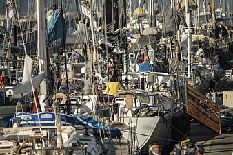Busy marina with docked sailboats and people preparing for sailing