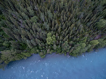 Aerial View of Turquoise River Flowing Through Dense Forest