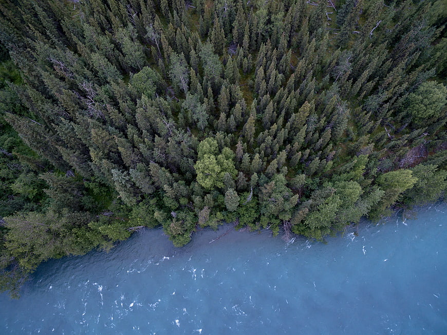 Aerial View of Turquoise River Flowing Through Dense Forest