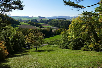 Scenic autumn landscape with rolling green hills and trees