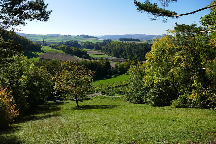 Scenic autumn landscape with rolling green hills and trees