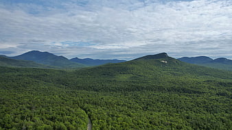 Aerial View of Lush Green Mountain Forest with Winding Road