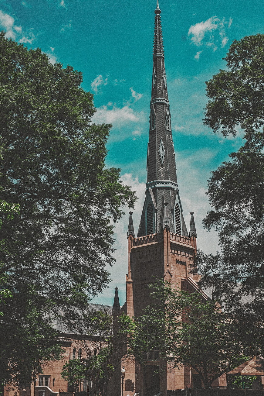 Gothic church spire framed by trees against teal sky