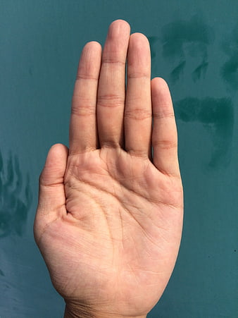 Close-up of open human palm with visible lines against teal background