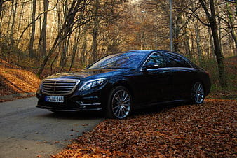 Black Mercedes S-Class parked on autumn forest road