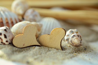 Wooden Hearts and Seashells on Sand