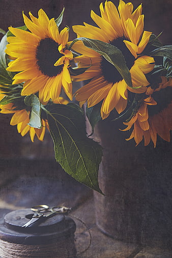 Rustic Sunflower Bouquet in Vintage Vase with Scissors