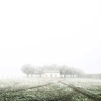 Frosty rural house in foggy field with trees