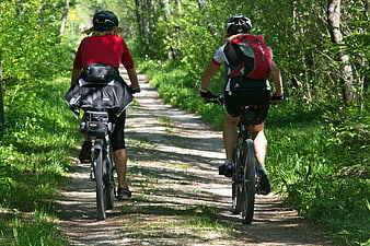 Two cyclists riding mountain bikes on a forest trail