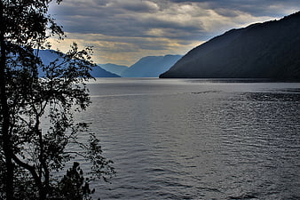 Serene Lake Landscape with Silhouetted Trees and Mountains