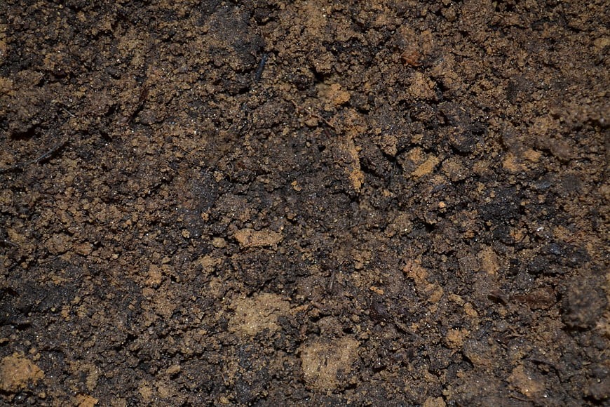 Close-up texture of rich dark brown soil and earth