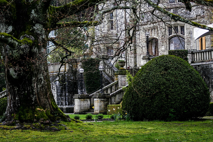Mossy Tree and Stone Mansion in Lush Garden
