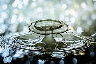Macro water splash crown with bokeh background