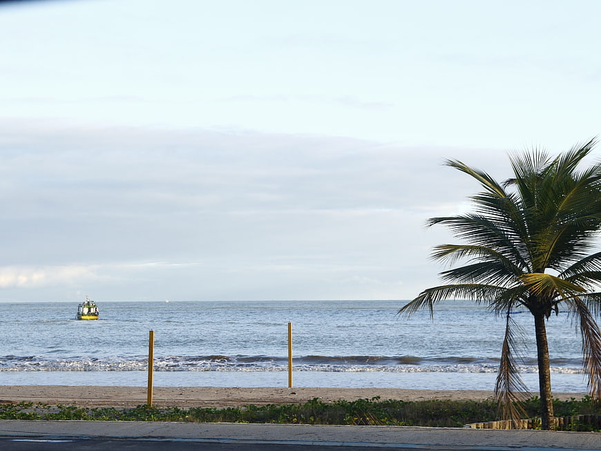 Tropical beach landscape with palm tree and distant boat