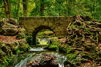 Old Stone Bridge Over Mossy Stream in Forest