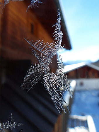Intricate frost crystals on a window pane with blurred alpine chalet background