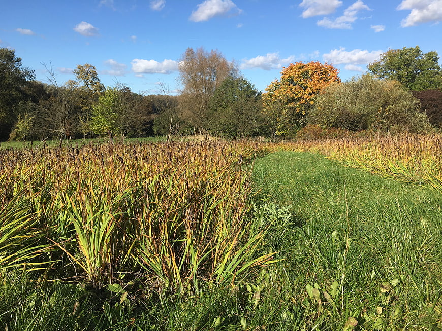 Autumn landscape with grassy path and colorful trees