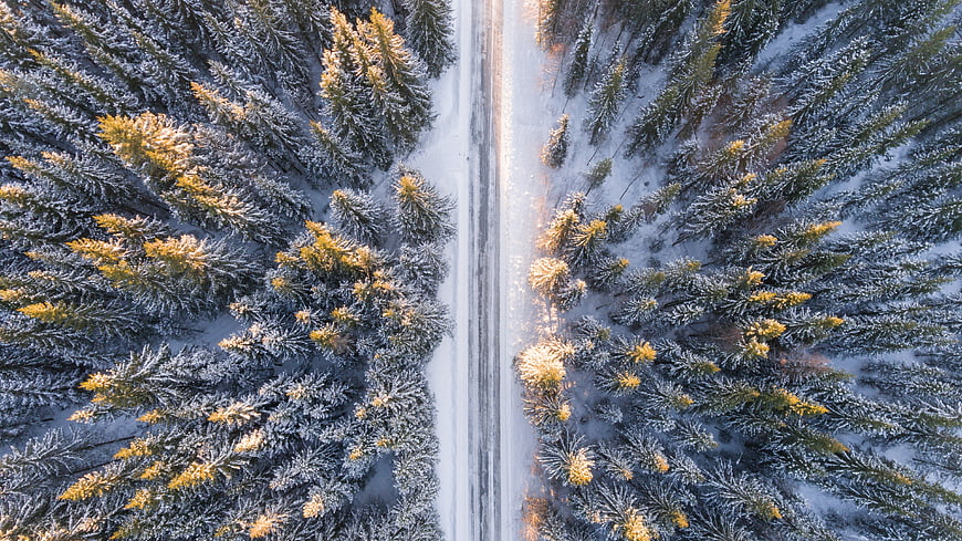 Aerial View of Snowy Forest Road in Winter