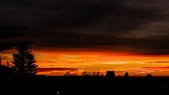 Dramatic orange sunset silhouette landscape with trees