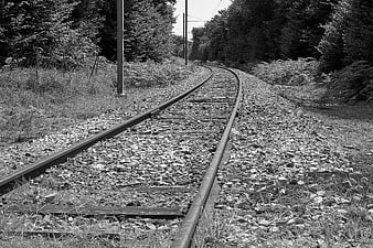 Curved railway tracks winding through a forest in black and white