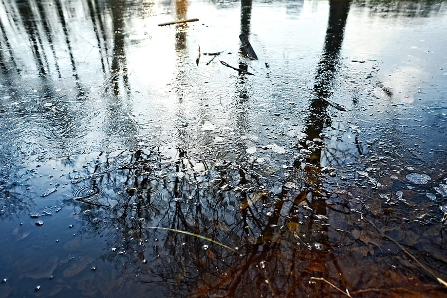 Frozen Pond Surface with Ice Bubbles and Tree Reflections