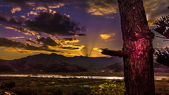 Dramatic Sunset Over Mountain Valley with Tree Foreground