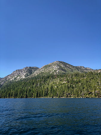 Serene Mountain Lake Landscape with Pine Forest and Blue Sky