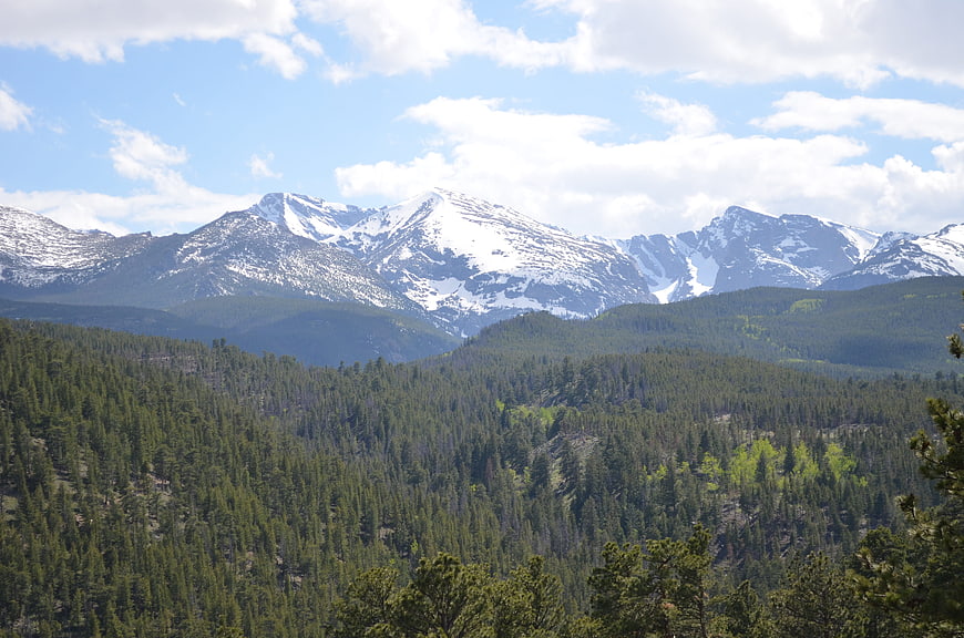 Snow-capped mountain peaks rising above a dense pine forest