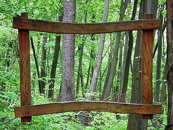 Wooden Gate in Lush Green Forest
