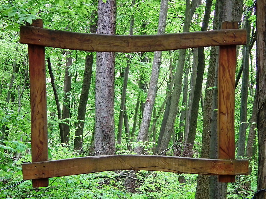 Wooden Gate in Lush Green Forest