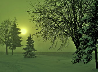 Snowy winter landscape with green tint and bare trees