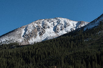Snow-capped mountain peak with dense pine forest below