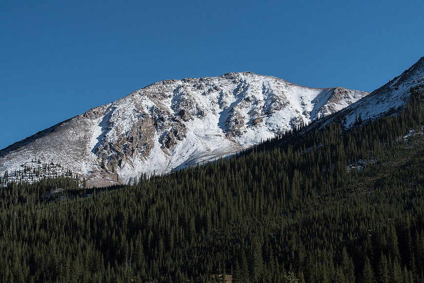 Snow-capped mountain peak with dense pine forest below