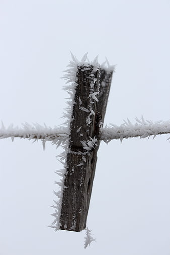 Close-up of wooden clothespin covered in white frost crystals