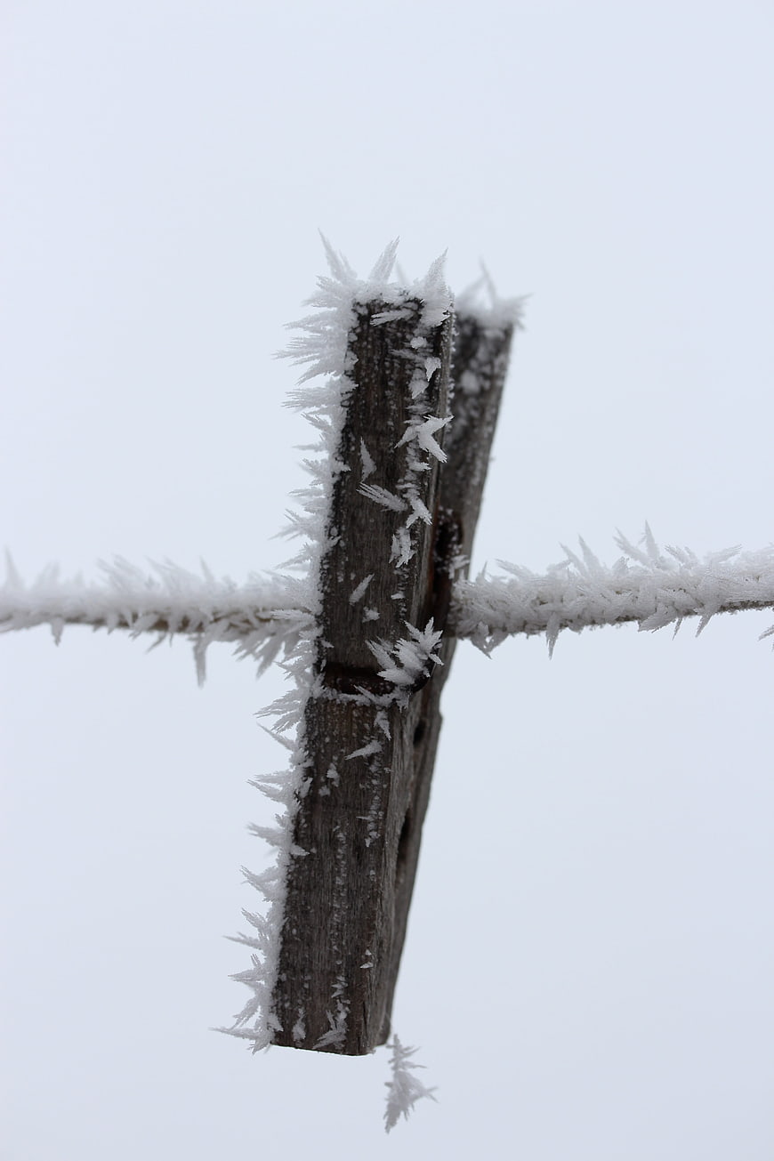 Close-up of wooden clothespin covered in white frost crystals