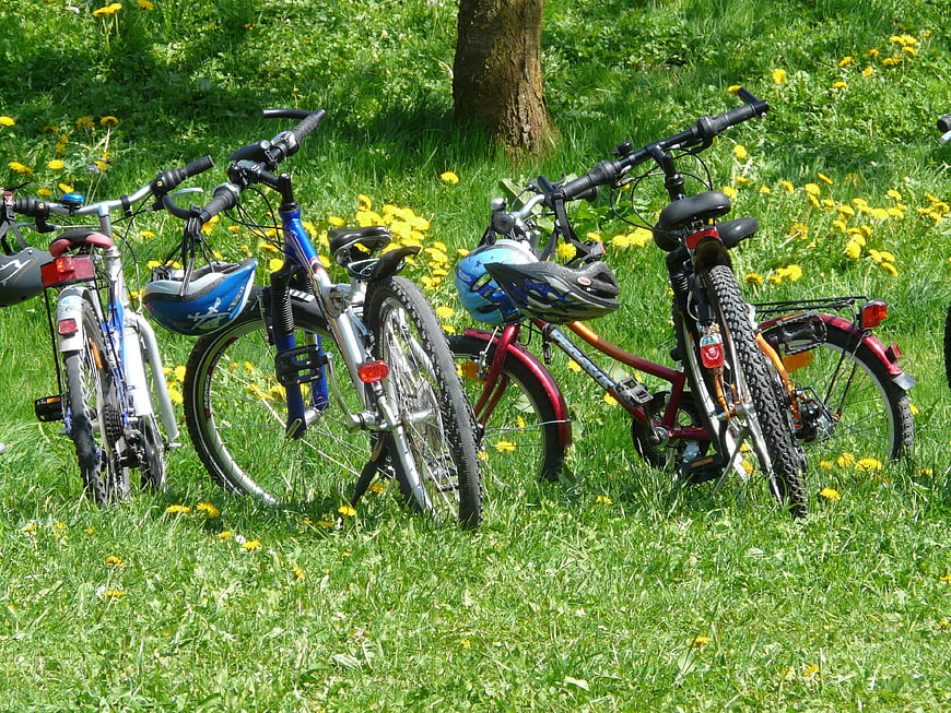 Bicycles with helmets parked in a grassy meadow with dandelions