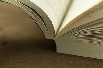 Close-up of Open Book Pages on Wooden Table