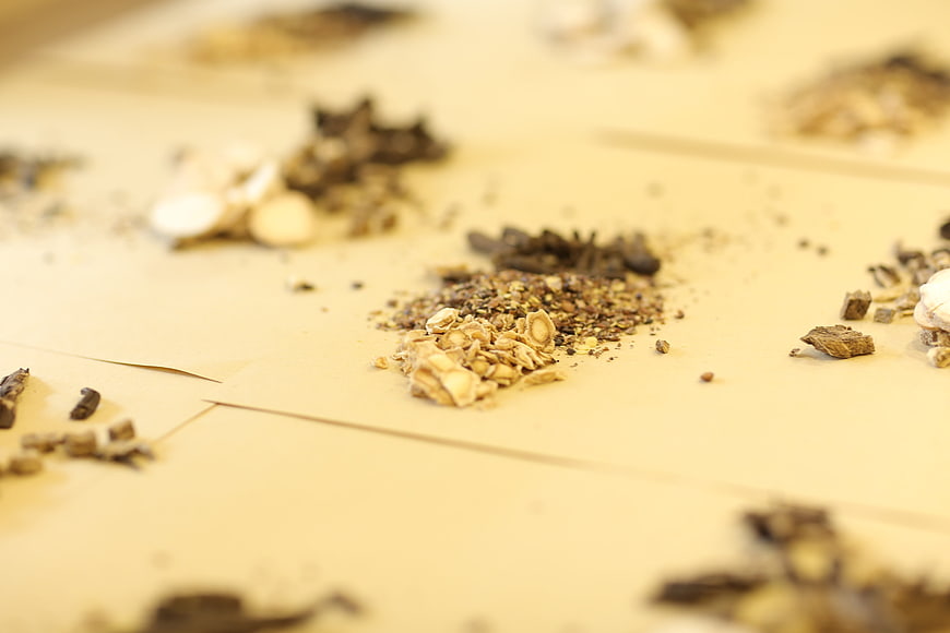 Dried Herbs and Roots on Beige Paper